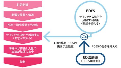 自慰 生理|婦人科医「“ひとりH”は体にいい」 生理前にしたくなる .